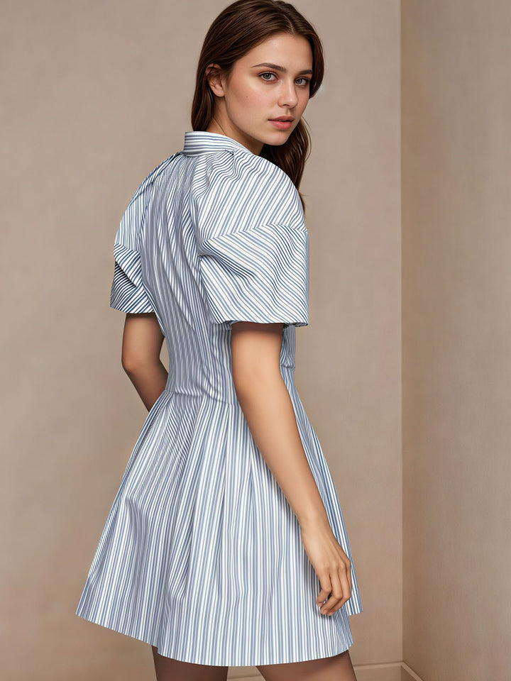 Striped Print Mini Dress